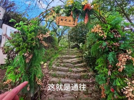 衢州东坪古道 沿着千年古道探索千年古村——东坪古村
环线距离:2.5km🥾🥾🥾
累计爬升:230米🧗♀️🧗♀️🧗♀️
导航地点⛳️:衢州市衢江区东坪古道
路线亮点:千年古道、千年古村、世外桃源
夏季,溪流、绿树 ,秋季晒秋是东坪古村最美的时候!!轻徒步宝地!
#江浙沪徒步路线 #户外徒步登山 #江浙沪周边游 #东坪古道 #衢州