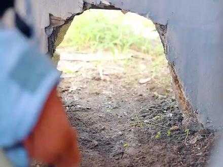 #别惹小乞丐,她太子爹是超级女儿奴#喜君唐诡剧组一日vlog #深挖唐诡对应历史 #陈伟霆音乐节现场跳刀马 #全抖音祝贺易烊千玺金鸡影帝