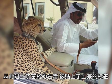 迪拜土豪跳舞手里的棍子是干什么用的?