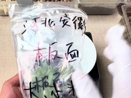 安徽板面配方 正宗安徽板面配方,今天它来了!#香料 #抓香料 #板面 #安徽板面 #配方分享