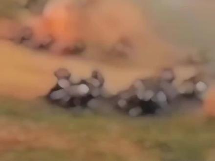 党指向哪里,我们就打到哪里
。#人民有信仰国家有力量民族有希望 #相信国家相信党 #正能量 #这就是中国力量 #我们是一支不可战胜的力量