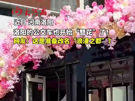 洛阳的公交车也开始“簪花”了!网友:浪漫之都 #河南dou知道 #洛阳 #洛阳旅游#洛阳宠年轻人到底有多拼