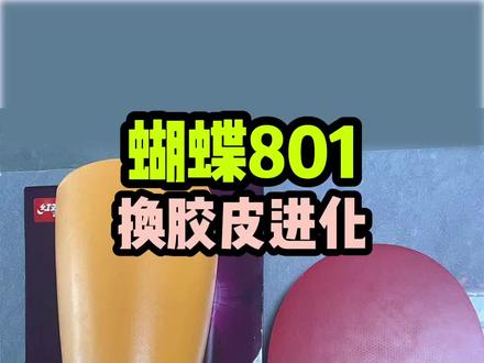 #乒乓球 #乒乓球拍 #六一就是要快乐呀 #乒乓球diy 球友蝴蝶801换反手普狂 正手 省狂蓝海绵,这套配置爱了,可以参考一下!@创作灵感小助手
