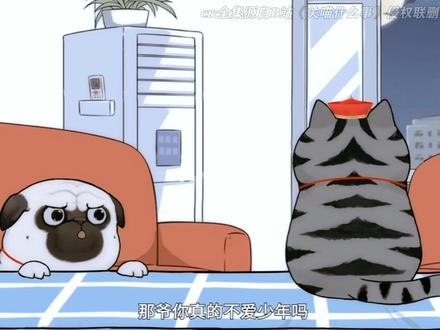 够了铲屎官,我心疼你 #关喵什么事 #每周B看