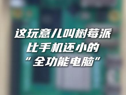 巴掌大的开发板,接口居然比笔记本还全?带你认识树莓派!#树莓派 #开发板 #边缘AI #迷你电脑 #电子元器件