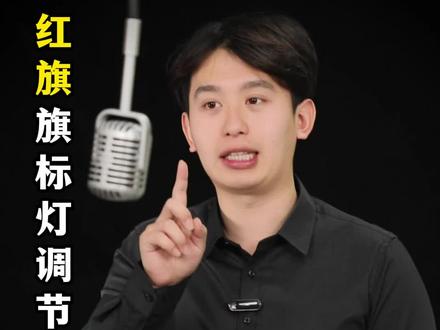 都知道红旗的旗标灯能亮,却没人告诉你它还藏着 3 种炫酷模式能够专属自定义!#红旗 #旗标灯调节
