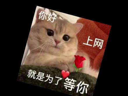 现在书店都这么卷了吗!?你最喜欢的古耽文是哪篇呢?#古风文 #宝藏小说 #小说 #拯救书荒 #停云