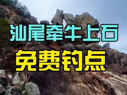 汕尾牵牛上石免费钓点 这里开车直达#自然奇观难得一见 #海钓 #钓鱼 #牵牛上石 #回忆旅游足迹