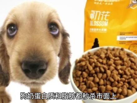 #中视频伙伴计划 #科普一下 #知识科普 #科学养宠 #小知识 为什么人类不喝狗奶