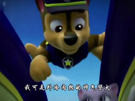 忠诚勇敢的阿奇#科普 #涨知识 #阿奇 #动画