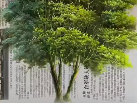 美术老师分享自己在报纸上画的两棵树,栩栩如生、引人赞叹!网友:不是,我也没眨眼啊……#高手在民间 #画画 (来源:青春上海)