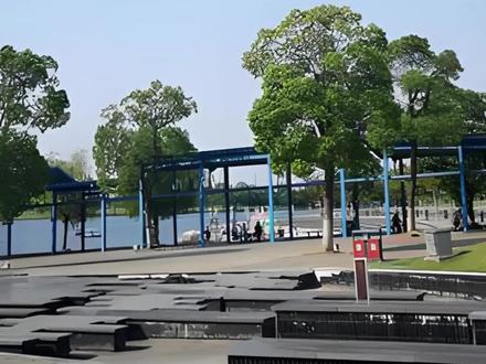 穿云箭的升级版纸飞机折法 这是穿云箭的升级版
增加了刀翼
很简单,你肯定能学会
一张A4纸
纵向对折
然后打开
把两个上角向中间对折两次
然后翻过来
沿纵向中线向上折
再把两边折拢来
压好折痕
为后面折翼刀做准备
然后再把两边打开,翻过来
左右向中线对折
再把两边顺着之前的折痕收拢压平整
它的外沿就是翼刀的位置
然后把两边的三角形打开,
边线变作中线
压平整,这是飞机的鸭翼
折纸飞机讲究对称光滑平整
这样才美观
才能飞的平稳
然后沿两边肩部到底角的对角线折好
这里是翼刀
将线和边整理到完全对称
然后再翻过来
把机头往上折
折线在鸭翼和主翼的交点
然后对折开翼
整理定形
再把翼刀立起来
然后整理出升降舵
带翼刀的穿云箭就完成了
是不是很简单呢?
我在室内试飞的效果很好
轻轻一掷就能直线飞8米
看都看完了,
就用您的发财手,
为我点个赞呗。
谢谢啦 !
我们下期视频再见
点赞、评论、关注#折纸飞机 #纸飞机的520种折法 #折纸教程 #折纸 @抖音小助手 @DOU+小助手