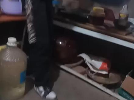 天下武功,为快不破,干什么都要快#家常饭菜 #包儿子