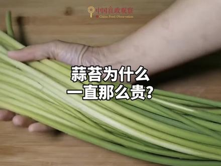 蒜苔为什么一直这么贵? #蒜苔 #蒜 #蔬菜 #科普