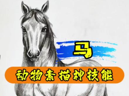 大飞老师动物素描神技能 有了方法,画画可以如此简单#画画 #素描动物 #跟着抖音学画画