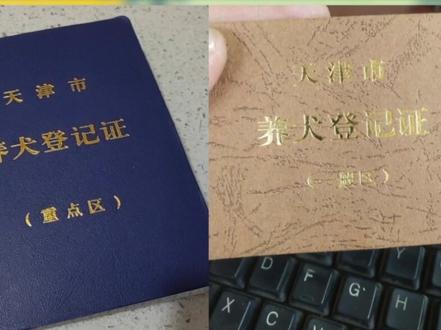 如何办理犬证?#文明养犬