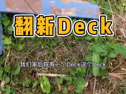 翻新Deck新技能✅l老婆说我闲得蛋疼 #多伦多生活 #vlog #多伦多 #加拿大 #造园记 #院子改造