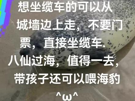 蓬莱阁100块钱一张票,不值得 想玩还是八仙过海带孩子值得一玩#流量 @抖音小助手 八仙过海门票才80