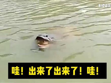 四个你从没有见过,珍贵的“龙”视频,西安网友甚至录到了叫声?#龙