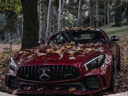 很多奔驰C级、S级、GLE等车主不知道如何设置和查看行车记录仪视频,今天一条视频教会你#奔驰 #奔驰c级 #奔驰s级 #奔驰e300l @DOU+小助手