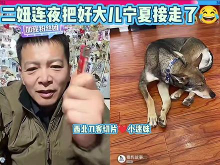 @西北刀客-公益护农 @西北刀客-机油手 #西北刀客公益护农 #西北刀客 #西北刀客宁夏 #西北刀客皮皮
皮皮意外怀孕,在雨哥眼里园区的男汪都有嫌疑😁二妞瑟瑟发抖连夜接走了好大儿宁夏😂