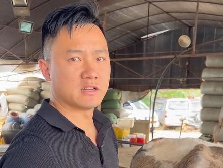 母牛胃胀气治疗 #畜牧业#兽医#兽医日常