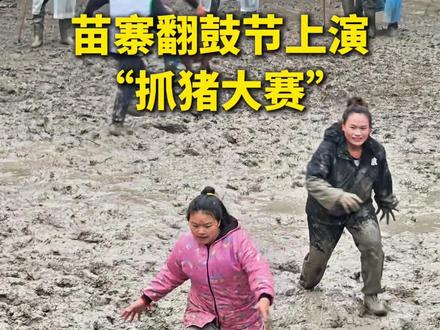 11月9日,贵州丹寨排佐村为庆祝“翻鼓节”上演“抓猪大赛”,抓到就能带走。一起感受现场气氛!(素材来源:@逐梦 )#翻鼓节 #苗族