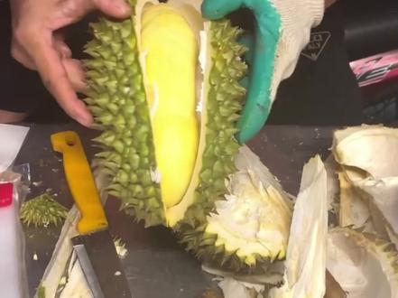 为什么最近的榴莲质量不好,你踩坑了吗? #开榴莲 #榴莲爱好者 #麦克阿瑟纪录片