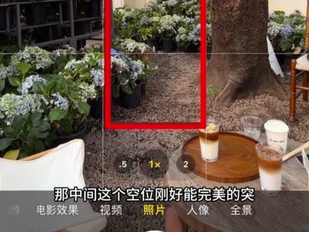 绣球花拍照教程#手机摄影技巧 #手机拍照 #五一拍照 #五一拍照攻略 #五一拍照打卡