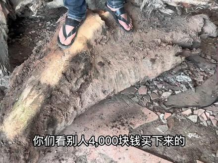 揭秘做乌木买卖有多暴利,小伙一个早上挣上万,开料成功翻几倍!