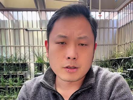 兰花焦尖怎么办#一花一草一世界 #兰花草的足迹 #养花人 #兰花日常管理