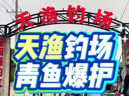 如何钓好青鱼#钓鱼 #钓鱼人 #爱生活爱钓鱼 #钓大鱼 #青鱼