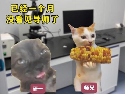 研究生如何召唤导师#实验室日常#研究生日常#sci#内容过于真实