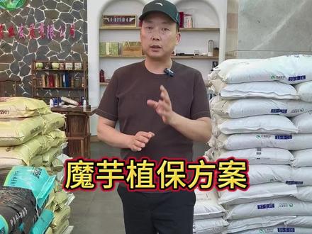 我们的魔芋植保知识,一次性给大家讲清楚#系统性种植技术方案 #凉农三宝 #科普 #植保知识