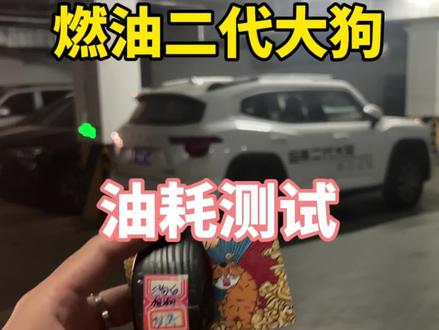我玩的就是 真实!#哈弗二代大狗 #油耗测试
