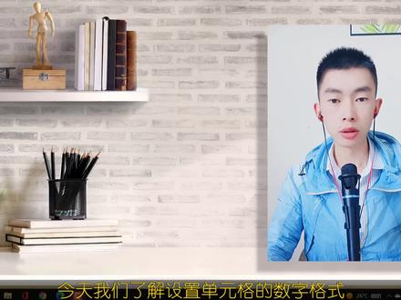 WPS表格如何设置单元格数字格式?文本类型数字 #办公软件 #excel教学 #单元格格式设置