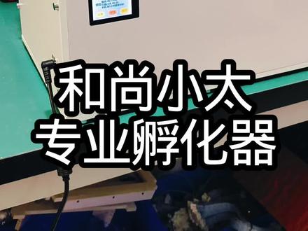 和尚小太阳孵化器保温箱