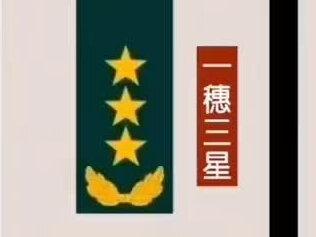 军衔肩章及对应职位。#军衔等级 #肩章
