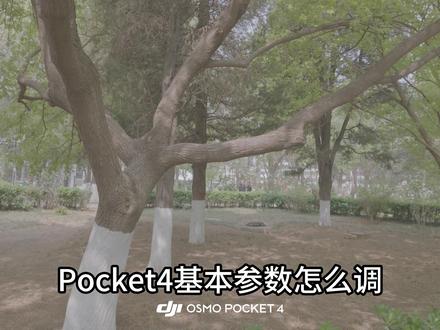 大疆Pocket4基础参数怎么调? #大疆Pocket4 #参数 #教程 #大疆