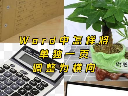 Word单页横竖页切换妙招,再也不用整页跟着改动!插入分节符拆分页面,就能单独调整纸张方向,撤销操作也简单,办公排版省心又高效,财会日常办公常备技巧#办公软件实用技巧 #word排版小技巧 #会计日常