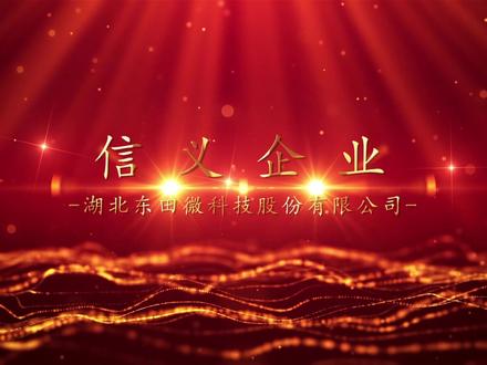 #当阳 当阳市第一届信义企业代表展播-东田微科技