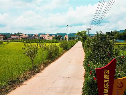 #航拍 最近没什么时间航拍和直播,水一期视频咯~