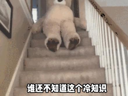 家里网络太卡怎么办#网络 #冷知识 #wifi