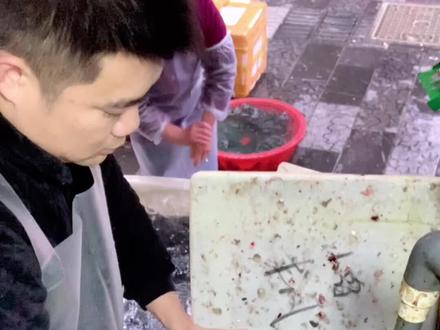 #水产人 草鱼全过程切片#一生要强的生意人