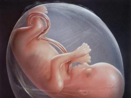 羊水为什么要叫羊水?#寻找1000位科普达人 #科普 #知识分享 @