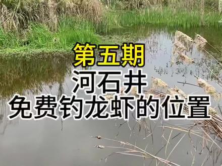 一个地方钓鱼、钓龙虾和钓黄鳝都搞定!#钓鱼 #小龙虾 #钓黄鳝 #户外
