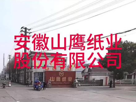 安徽山鹰纸业股份有限公司!