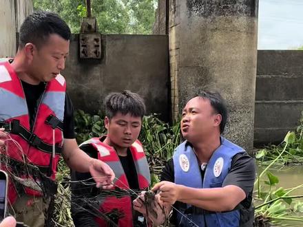 大表哥和小飞哥清理清道夫和水葫芦的第六天#大表哥vlog #抓鱼 #户外 #我要上热门🔥