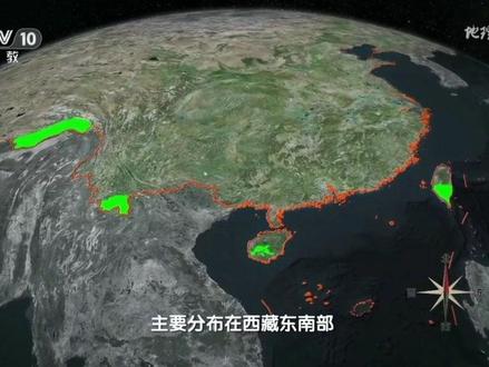 青藏高原竟然也有热带雨林的分布#神奇的大自然