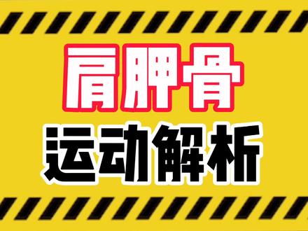 #肩胛骨 功能对于上半身的训练可太重要了!一定搞懂这些肌肉是干什么的!